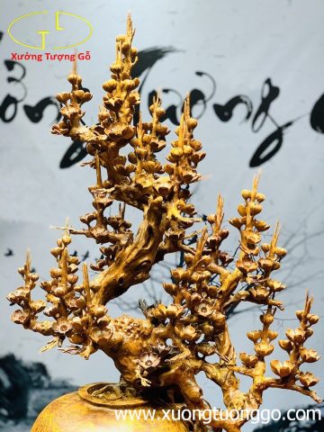 Bình mai nu hương Bình mai nu hương