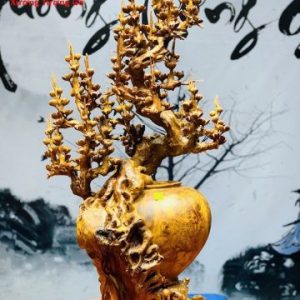 Bình mai nu hương Bình mai nu hương