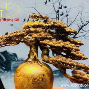 Bình tùng nu hương Bình tùng nu hương