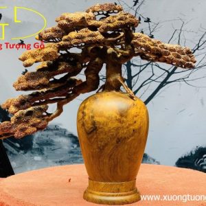 Bình tùng nu hương Bình tùng nu hương
