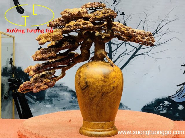 Bình tùng nu hương Bình tùng nu hương
