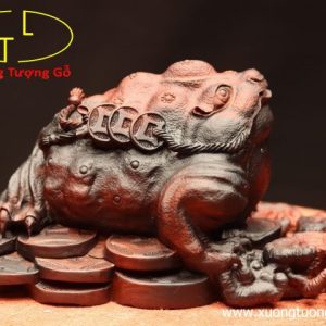 Thiềm thừ gỗ trắc