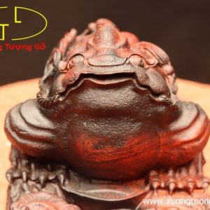 Thiềm thừ gỗ trắc Thiềm thừ gỗ trắc