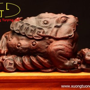 Thiềm Thừ nấm linh chi gỗ trắc