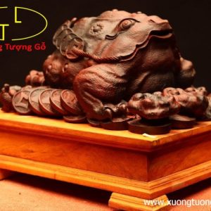 Thiềm Thừ nấm linh chi gỗ trắc