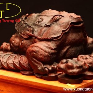 Thiềm Thừ nấm linh chi gỗ trắc