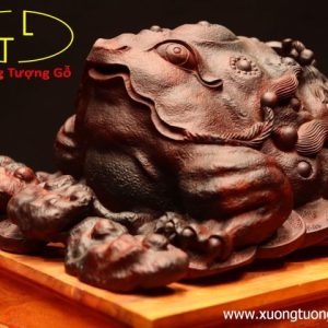 Thiềm Thừ nấm linh chi gỗ trắc