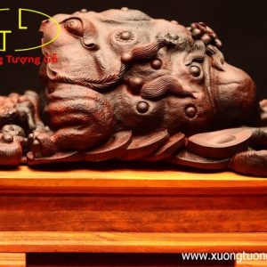 Thiềm Thừ nấm linh chi gỗ trắc
