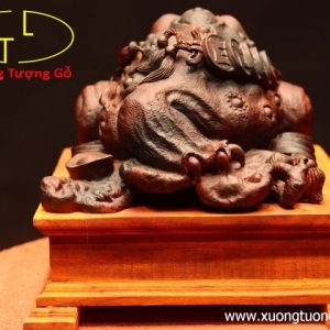 Thiềm Thừ nấm linh chi gỗ trắc