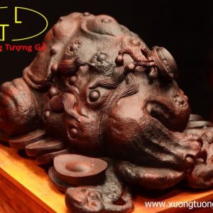 Thiềm Thừ nấm linh chi gỗ trắc