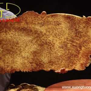 Khay trà nấm linh chi nu ngọc am
