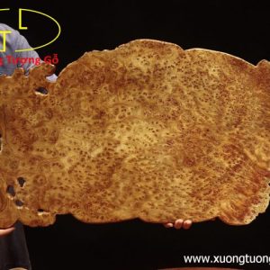 Khay trà nấm linh chi nu ngọc am