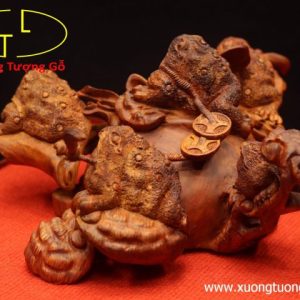 Ngũ cóc trấn chum tiền gỗ sưa