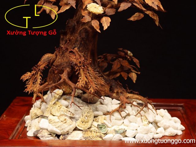 Cây ngà voi gỗ sưa Cây ngà voi gỗ sưa