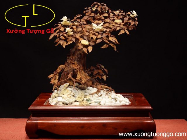Cây ngà voi gỗ sưa Cây ngà voi gỗ sưa