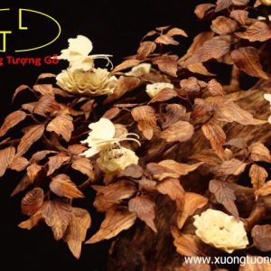 Cây ngà voi gỗ sưa Cây ngà voi gỗ sưa