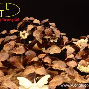 Cây ngà voi gỗ sưa Cây ngà voi gỗ sưa