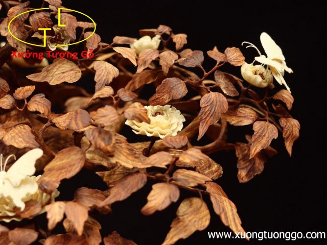 Cây ngà voi gỗ sưa Cây ngà voi gỗ sưa