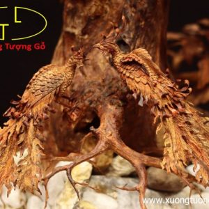Cây ngà voi gỗ sưa Cây ngà voi gỗ sưa