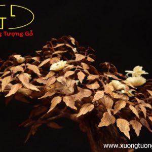 Cây ngà voi gỗ sưa Cây ngà voi gỗ sưa
