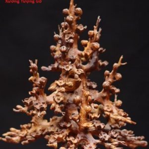 Bình mai gỗ hương. Bình mai gỗ hương.