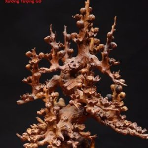 Bình mai gỗ hương. Bình mai gỗ hương.