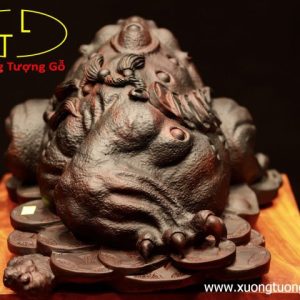 Thiềm thừ gỗ trắc đen Thiềm thừ gỗ trắc đen