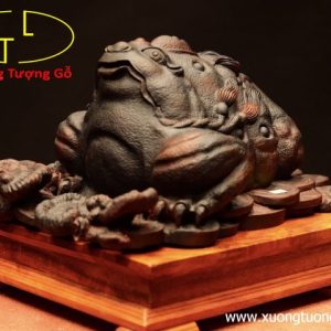Thiềm thừ gỗ trắc đen Thiềm thừ gỗ trắc đen