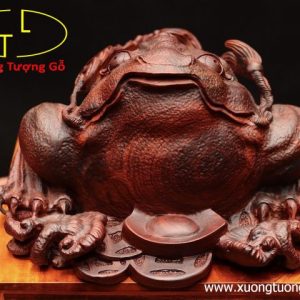 Thiềm thừ gỗ trắc đỏ. Thiềm thừ gỗ trắc đỏ.