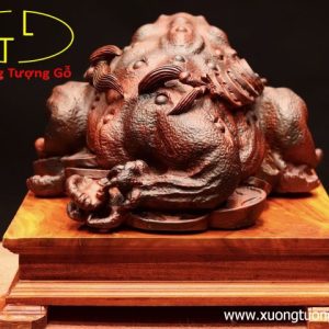 Thiềm thừ gỗ trắc đỏ. Thiềm thừ gỗ trắc đỏ.