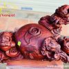 Ngũ cóc trấn chum gỗ trắc đỏ đen. Ngũ cóc trấn chum gỗ trắc đỏ đen.