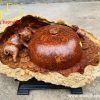 Chum nhị trư gỗ nu hương
