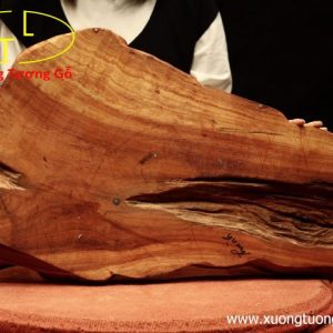 Khay trà trâu gỗ hương