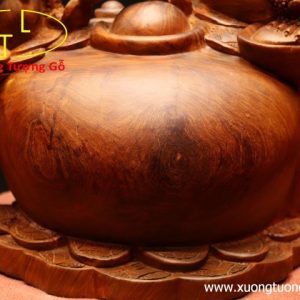 Tam cóc chấn chum tiền gỗ hương ta Tam cóc chấn chum tiền gỗ hương ta