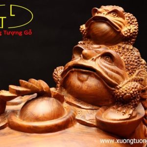 Tam cóc chấn chum tiền gỗ hương ta Tam cóc chấn chum tiền gỗ hương ta
