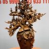 Bình mai gỗ sưa Bình mai gỗ sưa