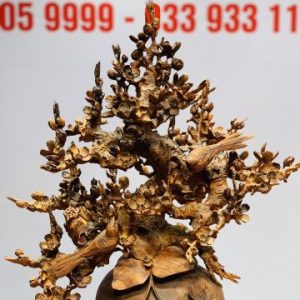 Bình mai gỗ sưa