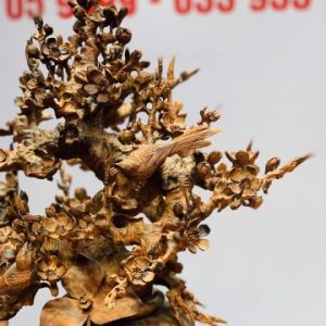 Bình mai gỗ sưa