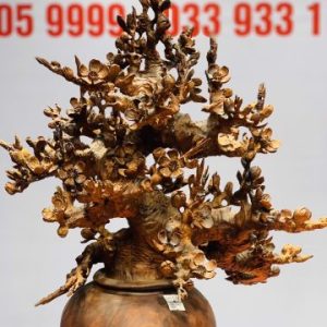 Bình mai gỗ sưa