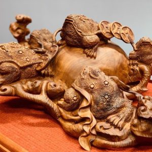Ngũ cóc chấn chum gỗ sưa Ngũ cóc chấn chum gỗ sưa