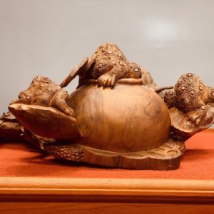 Ngũ cóc chấn chum gỗ sưa Ngũ cóc chấn chum gỗ sưa