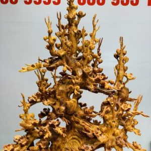 Bình mai gỗ hương ta. Bình mai gỗ hương ta.
