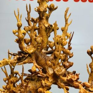 Bình mai gỗ hương ta. Bình mai gỗ hương ta.