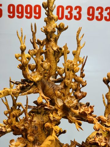 Bình mai gỗ hương ta. Bình mai gỗ hương ta.