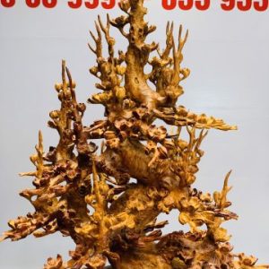 Bình mai gỗ hương ta. Bình mai gỗ hương ta.