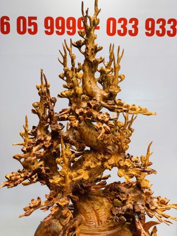 Bình mai gỗ hương ta. Bình mai gỗ hương ta.