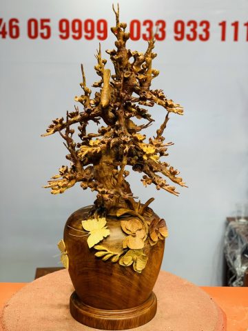 Bình mai hương ta Bình mai hương ta