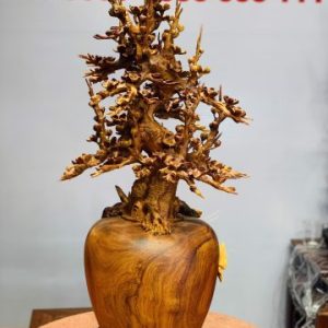 Bình mai hương ta Bình mai hương ta