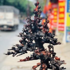 Bình hoa mai gỗ trắc. Bình hoa mai gỗ trắc.