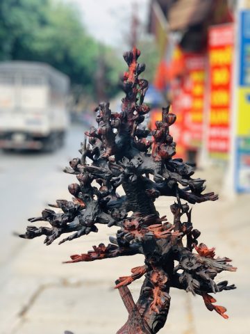 Bình hoa mai gỗ trắc. Bình hoa mai gỗ trắc.
